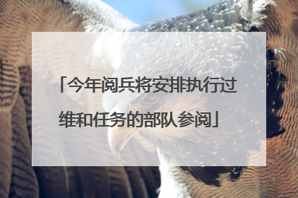 今年阅兵将安排执行过维和任务的部队参阅
