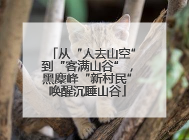 从“人去山空”到“客满山谷”，黑麋峰“新村民”唤醒沉睡山谷