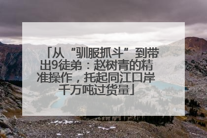 从“驯服抓斗”到带出9徒弟：赵树青的精准操作，托起同江口岸千万吨过货量
