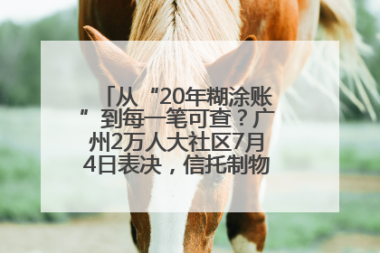 从“20年糊涂账”到每一笔可查？广州2万人大社区7月4日表决，信托制物业如何取“信”？