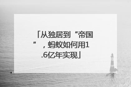 从独居到“帝国”，蚂蚁如何用1.6亿年实现