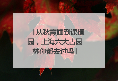从秋霞圃到课植园，上海六大古园林你都去过吗