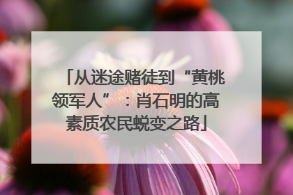 从迷途赌徒到“黄桃领军人”：肖石明的高素质农民蜕变之路