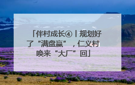伴村成长④丨规划好了“满盘赢”，仁义村唤来“大厂”回