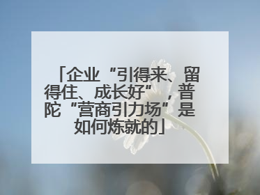 企业“引得来、留得住、成长好”，普陀“营商引力场”是如何炼就的