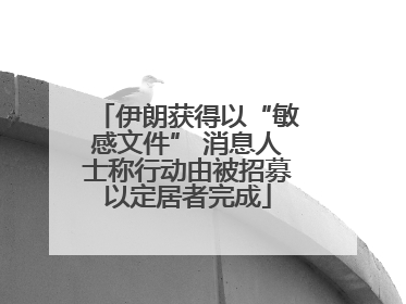 伊朗获得以“敏感文件” 消息人士称行动由被招募以定居者完成