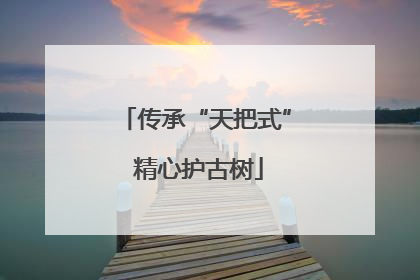 传承“天把式” 精心护古树