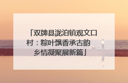 双牌县泷泊镇观文口村：粽叶飘香承古韵 乡情凝聚展新篇