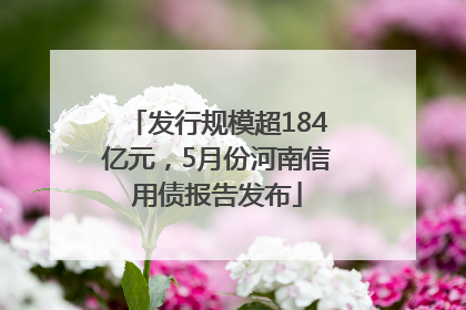 发行规模超184亿元，5月份河南信用债报告发布