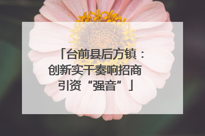台前县后方镇：创新实干奏响招商引资“强音”