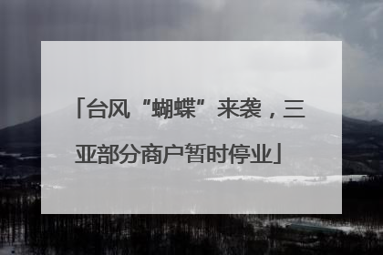 台风“蝴蝶”来袭，三亚部分商户暂时停业