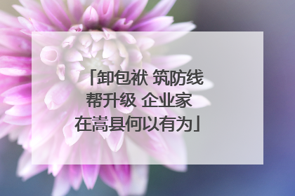 卸包袱 筑防线 帮升级 企业家在嵩县何以有为