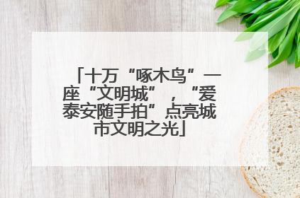 十万“啄木鸟”一座“文明城”，“爱泰安随手拍”点亮城市文明之光