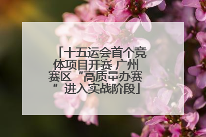 十五运会首个竞体项目开赛 广州赛区“高质量办赛”进入实战阶段
