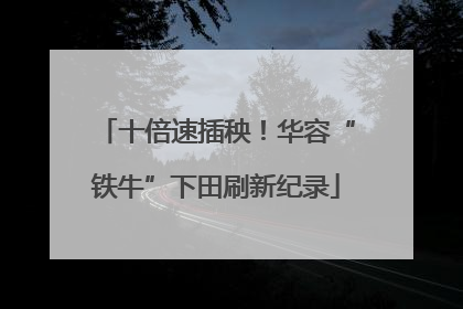 十倍速插秧！华容“铁牛”下田刷新纪录