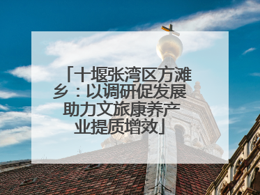 十堰张湾区方滩乡：以调研促发展 助力文旅康养产业提质增效