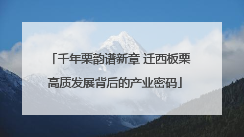 千年栗韵谱新章 迁西板栗高质发展背后的产业密码