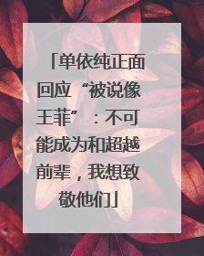 单依纯正面回应“被说像王菲”：不可能成为和超越前辈，我想致敬他们