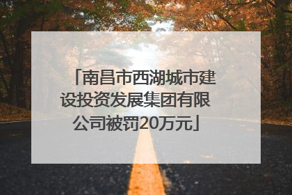 南昌市西湖城市建设投资发展集团有限公司被罚20万元