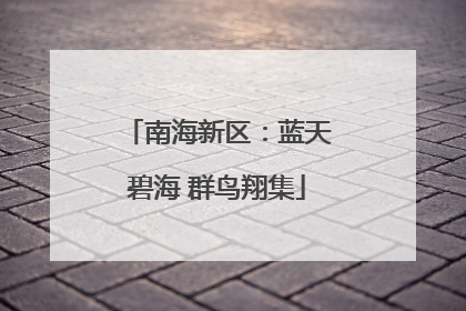 南海新区：蓝天碧海 群鸟翔集