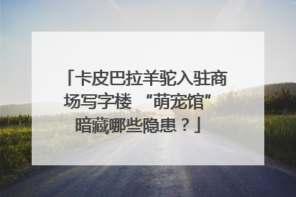 卡皮巴拉羊驼入驻商场写字楼 “萌宠馆”暗藏哪些隐患？