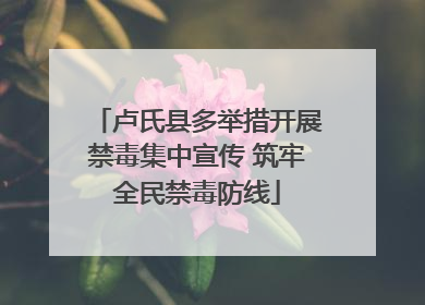 卢氏县多举措开展禁毒集中宣传 筑牢全民禁毒防线