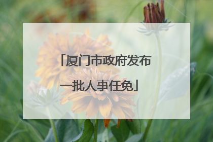 厦门市政府发布一批人事任免