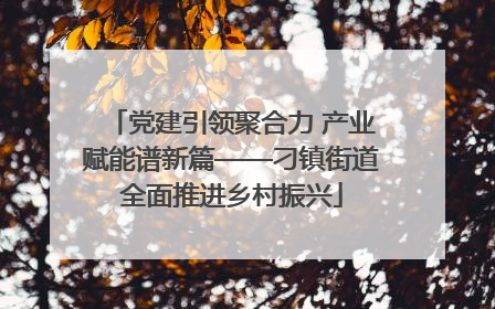 党建引领聚合力 产业赋能谱新篇——刁镇街道全面推进乡村振兴
