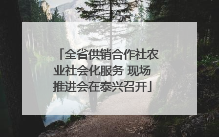 全省供销合作社农业社会化服务 现场推进会在泰兴召开
