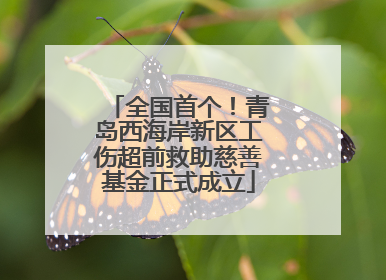 全国首个！青岛西海岸新区工伤超前救助慈善基金正式成立