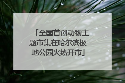 全国首创动物主题市集在哈尔滨极地公园火热开市