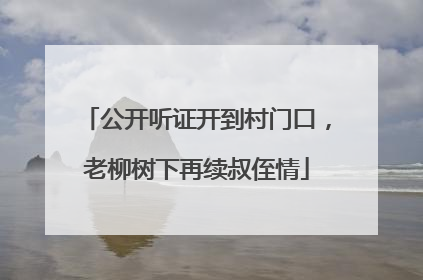 公开听证开到村门口，老柳树下再续叔侄情