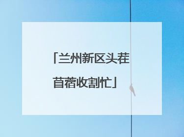 兰州新区头茬苜蓿收割忙