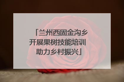 兰州西固金沟乡开展果树技能培训 助力乡村振兴