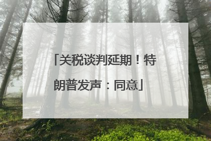 关税谈判延期！特朗普发声：同意
