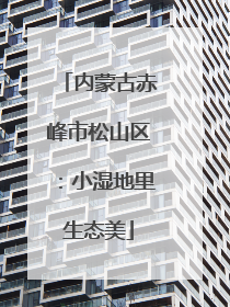 内蒙古赤峰市松山区：小湿地里生态美