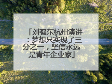 刘强东杭州演讲：梦想只实现了三分之一，坚信永远是青年企业家