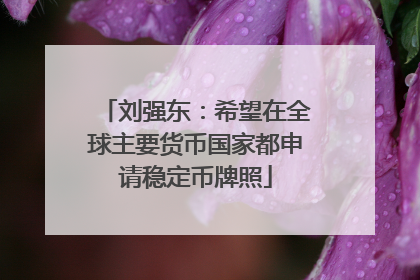 刘强东：希望在全球主要货币国家都申请稳定币牌照
