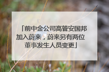 前中金公司高管安国邦加入蔚来，蔚来另有两位董事发生人员变更