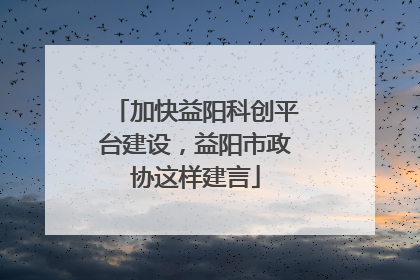 加快益阳科创平台建设，益阳市政协这样建言