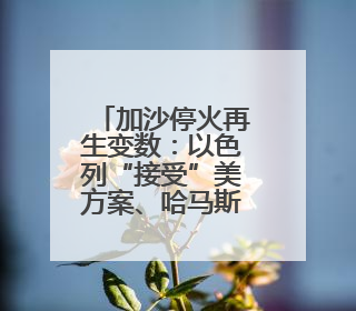 加沙停火再生变数：以色列“接受”美方案、哈马斯不认可