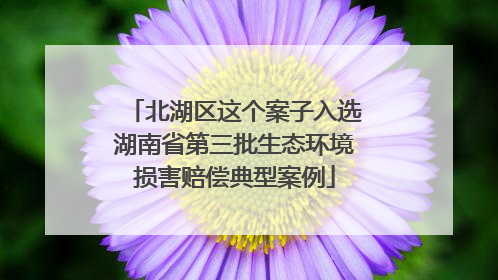 北湖区这个案子入选湖南省第三批生态环境损害赔偿典型案例