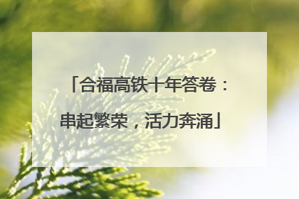 合福高铁十年答卷：串起繁荣，活力奔涌