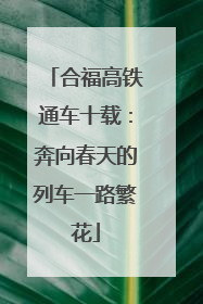 合福高铁通车十载：奔向春天的列车一路繁花