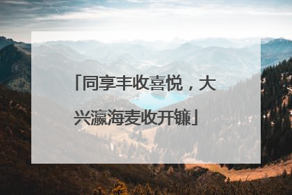 同享丰收喜悦，大兴瀛海麦收开镰