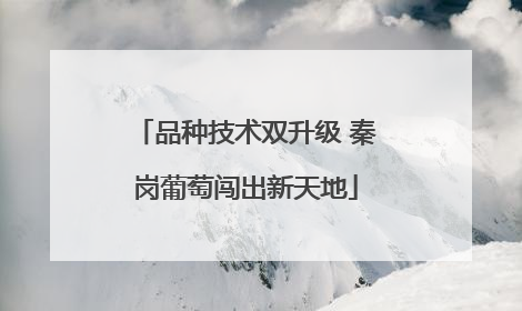 品种技术双升级 秦岗葡萄闯出新天地