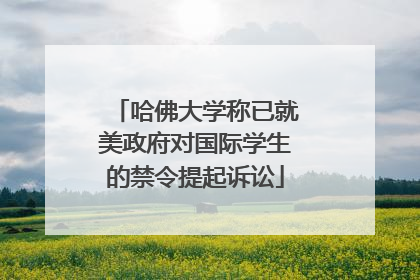 哈佛大学称已就美政府对国际学生的禁令提起诉讼