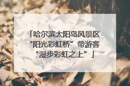 哈尔滨太阳岛风景区“阳光彩虹桥”带游客“漫步彩虹之上”