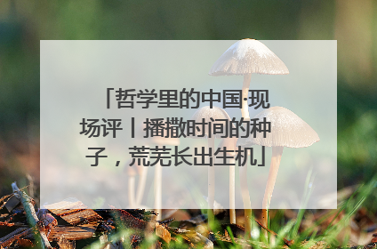 哲学里的中国·现场评丨播撒时间的种子，荒芜长出生机