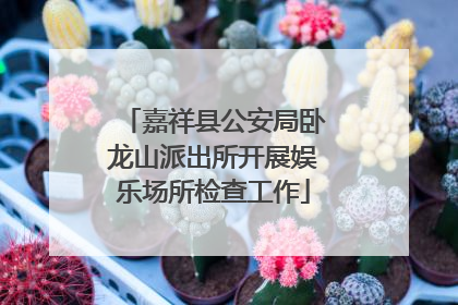 嘉祥县公安局卧龙山派出所开展娱乐场所检查工作